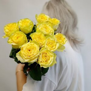 Роза 60 см